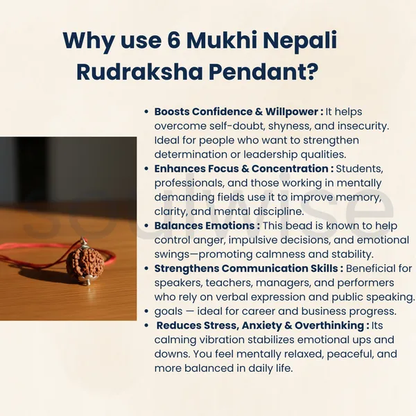 6_Mukhi_Rudraksha_Silver_Pendant_Authentic_Nepalese_Origin_Bead_For_Harmony_Health_Positive_Energy