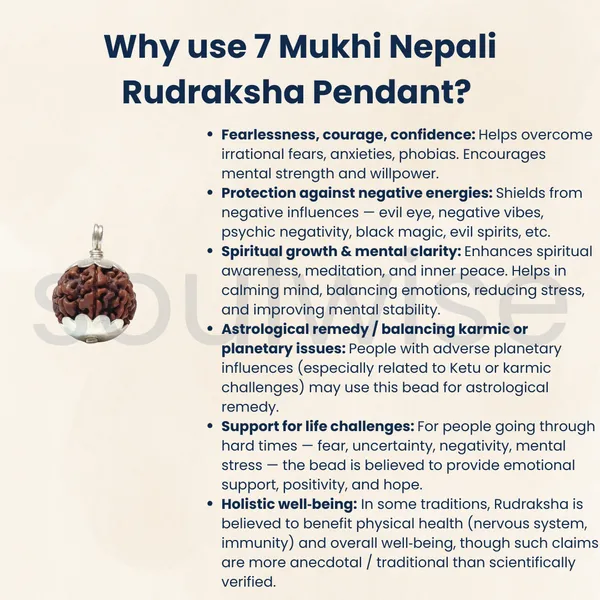 7_Mukhi_Rudraksha_Silver_Pendant_Certified_Nepalese_Origin_Bead_For_Wealth_Success_Positive_Energy