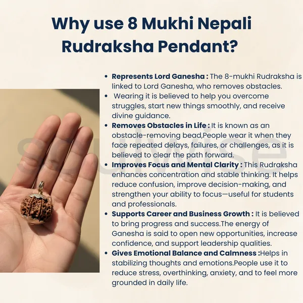 8_Mukhi_Rudraksha_Silver_Pendant_Certified_Nepalese_Origin_Ashta_Mukhi_Bead_For_Success_Obstacle_Removal_Positive_Energy_Unisex