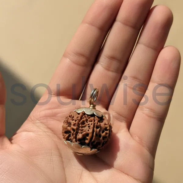 8_Mukhi_Rudraksha_Silver_Pendant_Certified_Nepalese_Origin_Ashta_Mukhi_Bead_For_Success_Obstacle_Removal_Positive_Energy_Unisex
