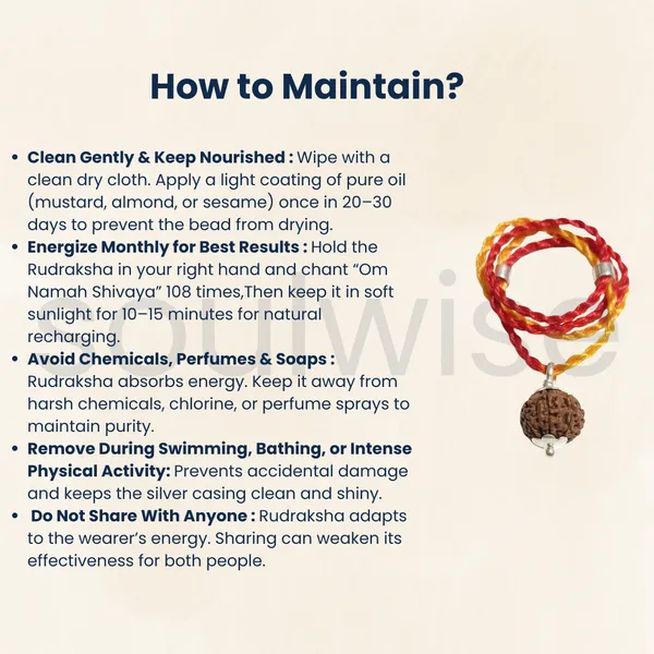 7_Mukhi_Rudraksha_Silver_Plated_Pendant_Certified_Bead_For_Wealth_Success_Positive_Energy