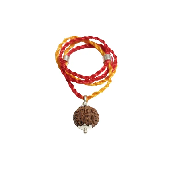 7_Mukhi_Rudraksha_Silver_Plated_Pendant_Certified_Bead_For_Wealth_Success_Positive_Energy