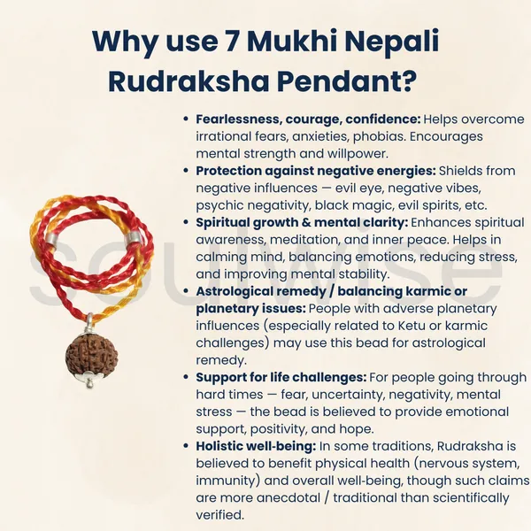7_Mukhi_Rudraksha_Silver_Plated_Pendant_Certified_Bead_For_Wealth_Success_Positive_Energy