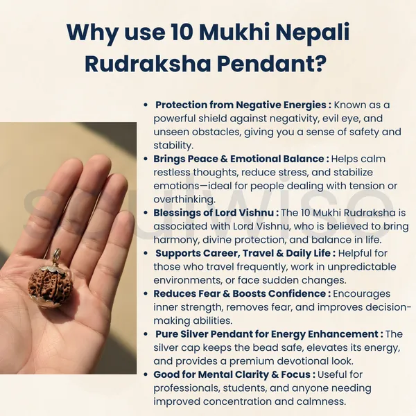 10_Mukhi_Rudraksha_Silver_Pendant_Certified_Nepali_Bead_For_Protection_Strength_Negative_Energy_Shield_Dash_Mukhi_Rudraksha