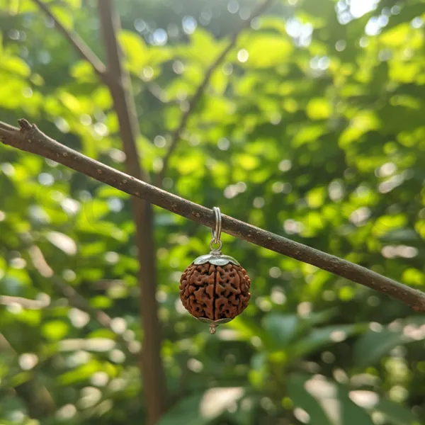 Certified_10_Mukhi_Rudraksha_Silver_Pendant_Indonesian_Origin_Natural_Bead_For_Protection_Strength_Spiritual_Balance