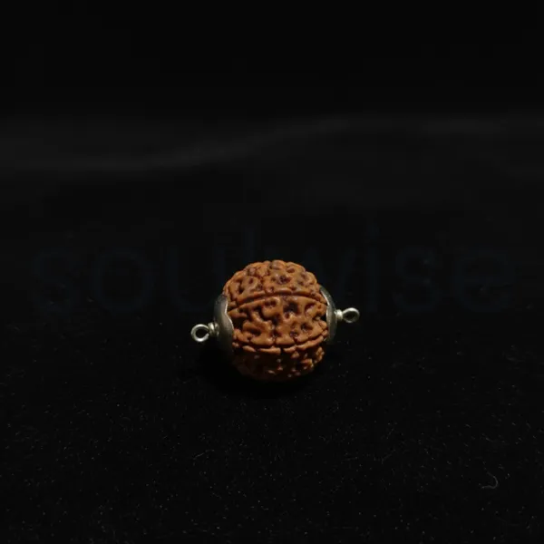 Certified_10_Mukhi_Rudraksha_Silver_Pendant_Indonesian_Origin_Natural_Bead_For_Protection_Strength_Spiritual_Balance