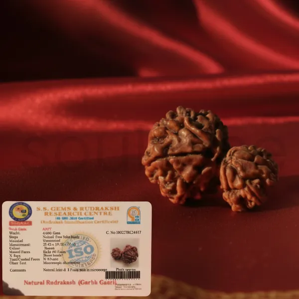 Rare_Antique_Collector_Garbh_Gauri_Rudraksha_Unique_Natural_Sacred_Bead_Premium_Grade