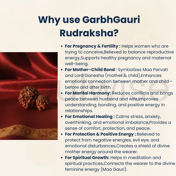 Rare_Antique_Collector_Garbh_Gauri_Rudraksha_Unique_Natural_Sacred_Bead_Premium_Grade