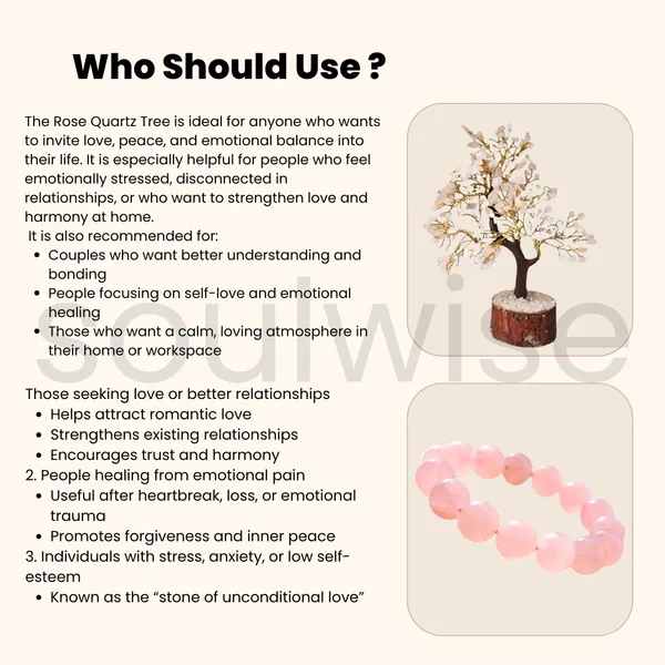 Rose_Quartz_Crystal_Tree_With_Wooden_Base_And_Rose_Quartz_Bracelet_Valentine_S_Day_Gift_Set_For_Love_And_Emotional_Healing_Pack_Of_2