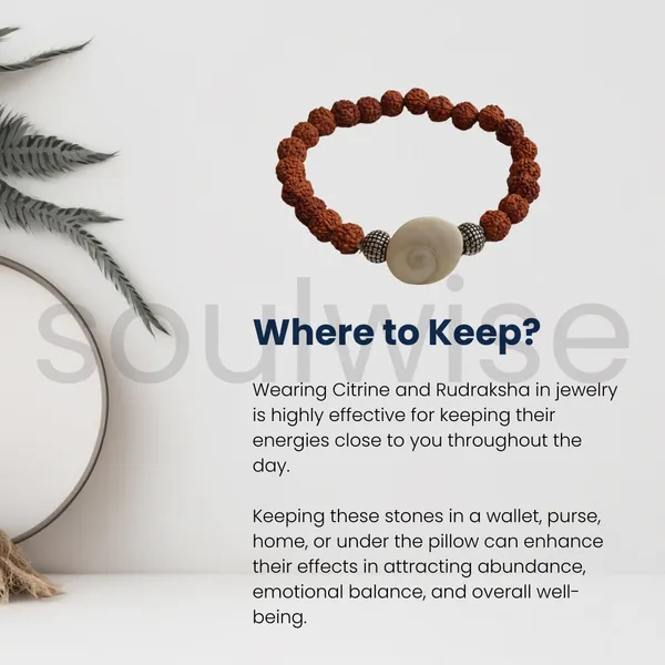 Rudraksha_Bracelet_With_Gomti_Chakra_Charm_Natural_Spiritual_Bracelet_For_Protection_Prosperity_Positive_Energy