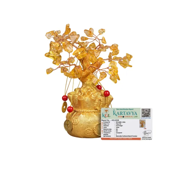Bonsai_Citrine_Tree_Money_Tree_Feng_Shui_Gold_Crystal_Ornaments_With_6_Hanging_Coin_Charms_For_Health_Wealth_And_Happiness_7_X_3_Inch