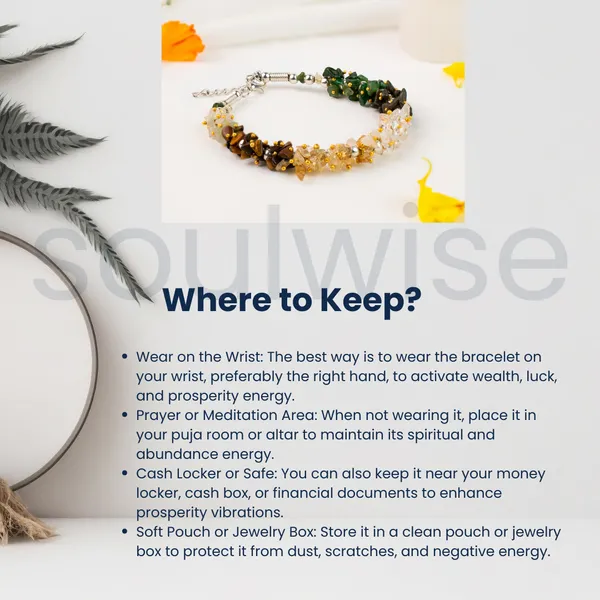 Dhanyog_Chips_Adjustable_Prosperity_Bracelet_Symbolizes_Wealth_Prosperity_And_Success