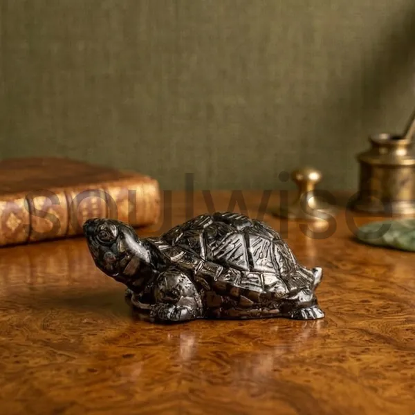 Pyrite_Tortoise_Vastu_Symbol_Of_Wealth_Protection