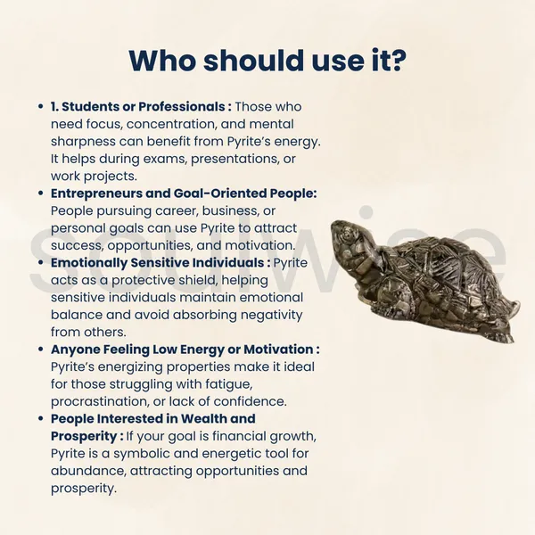 Pyrite_Tortoise_Vastu_Symbol_Of_Wealth_Protection