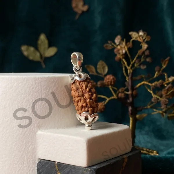 Natural_2_Mukhi_Rudraksha_Pendant_With_Silver_Tone_Cap_Sacred_Spiritual_Pendant_For_Protection_Meditation_Positive_Energy