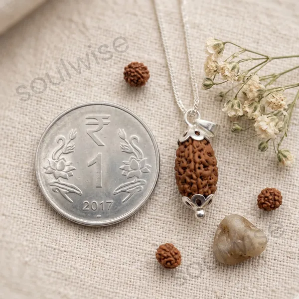 Natural_2_Mukhi_Rudraksha_Pendant_With_Silver_Tone_Cap_Sacred_Spiritual_Pendant_For_Protection_Meditation_Positive_Energy