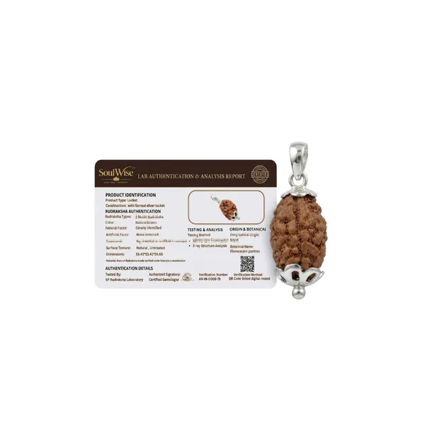 Natural_2_Mukhi_Rudraksha_Pendant_With_Silver_Tone_Cap_Sacred_Spiritual_Pendant_For_Protection_Meditation_Positive_Energy