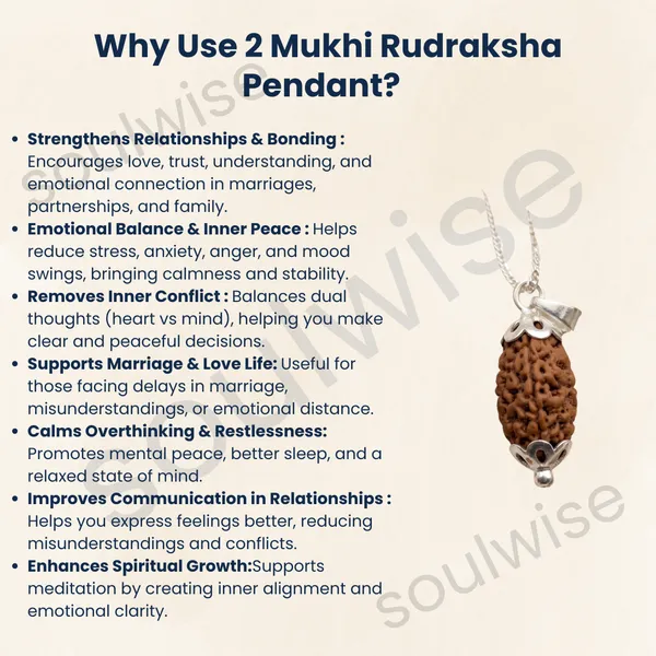Natural_2_Mukhi_Rudraksha_Pendant_With_Silver_Tone_Cap_Sacred_Spiritual_Pendant_For_Protection_Meditation_Positive_Energy