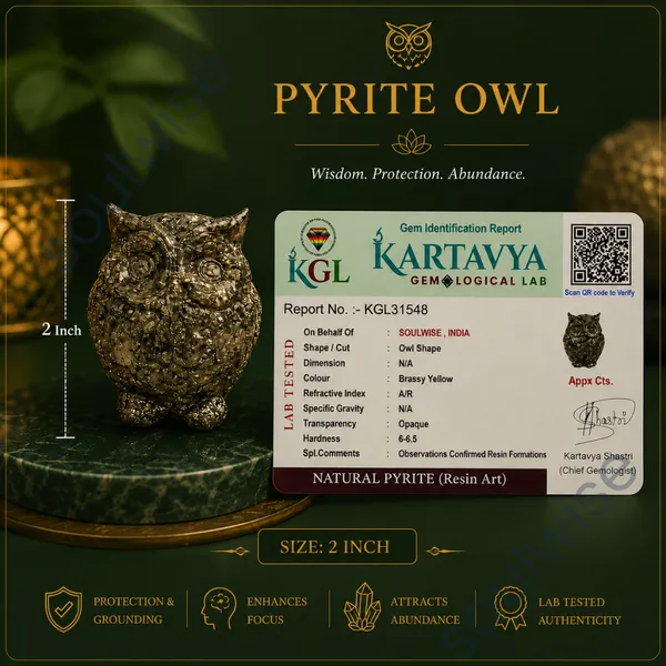 Natural_Pyrite_Owl_Crystal_Owl_For_Wisdom_Wealth_Protection_Positive_Energy