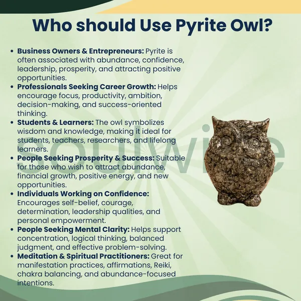 Natural_Pyrite_Owl_Crystal_Owl_For_Wisdom_Wealth_Protection_Positive_Energy