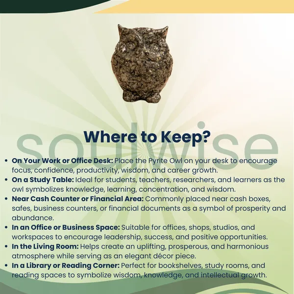Natural_Pyrite_Owl_Crystal_Owl_For_Wisdom_Wealth_Protection_Positive_Energy