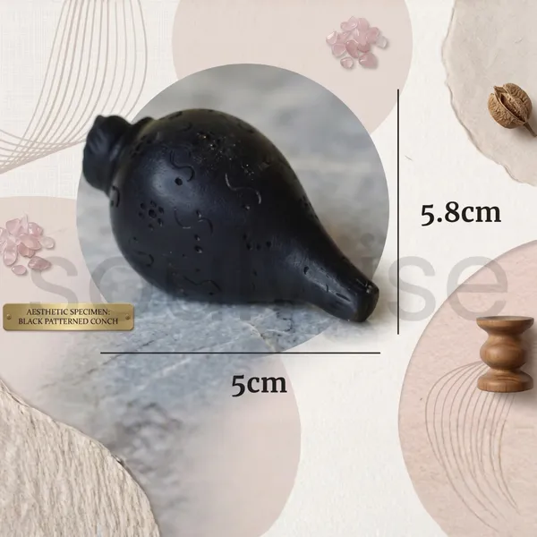 Karungali_Shankh_Sacred_Karungali_Wood_Conch_For_Spiritual_Protection_Positivity_Divine_Blessings