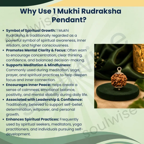 1_Mukhi_Rudraksha_Pendant_Necklace_Sacred_Bead_For_Spiritual_Growth_Focus_Divine_Blessings