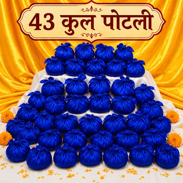 RAHU_UPCHAAR_POLTI_(_SET_OF_43_)