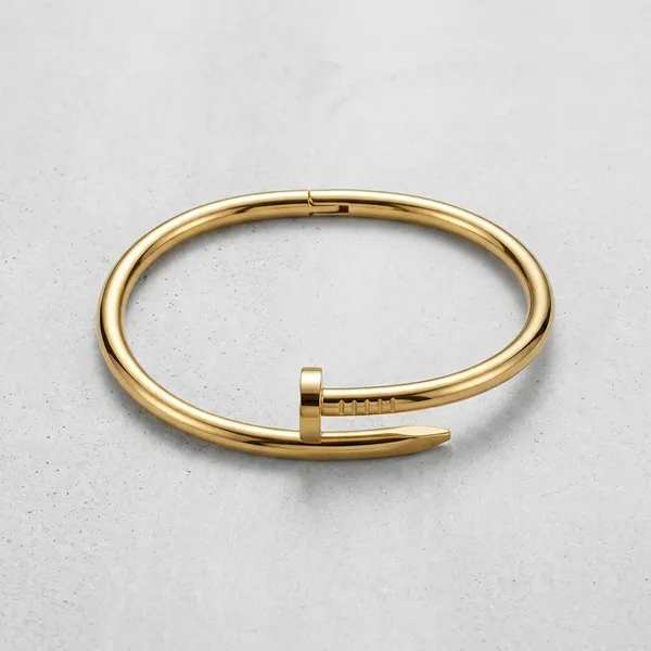 Gold_Stainless_Steel_Nail_Bangle_Bracelet_For_Men
