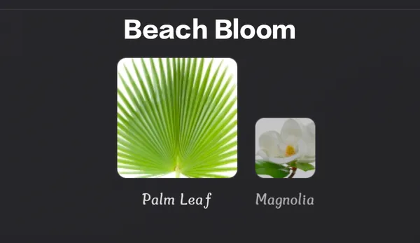 Beach_Bloom_