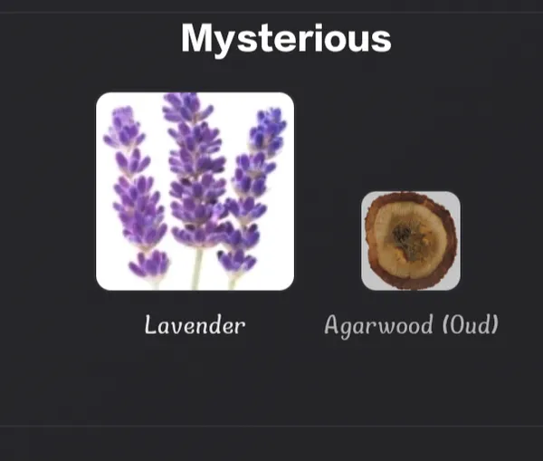 Mysterious_