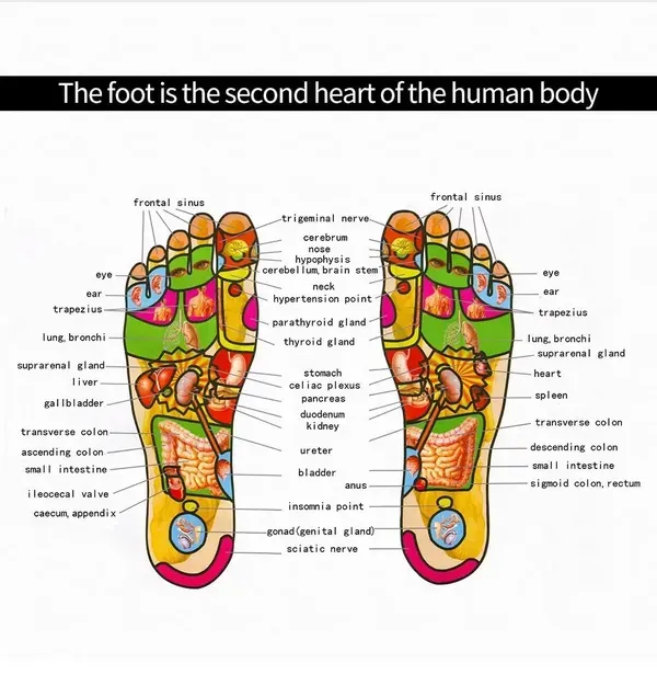 Ems_Foot_Massager_Mat_8_Modes_19_Intensity_Levels_Led_Display_Usb_Charg_More