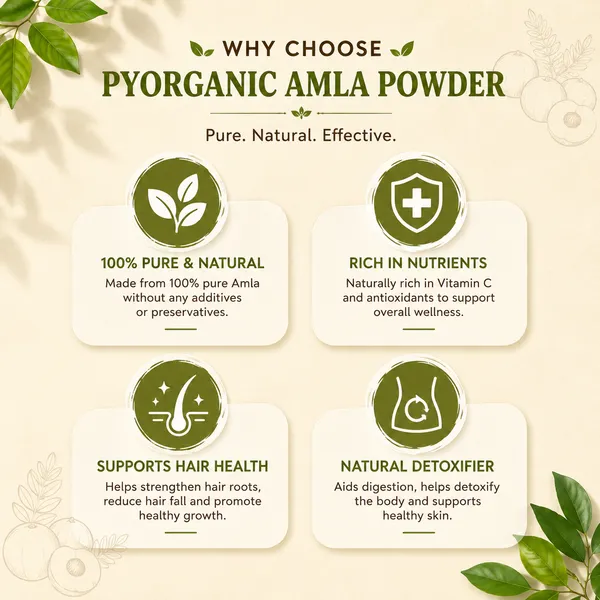 Premium_Amla_Powder_Pack_Of_2
