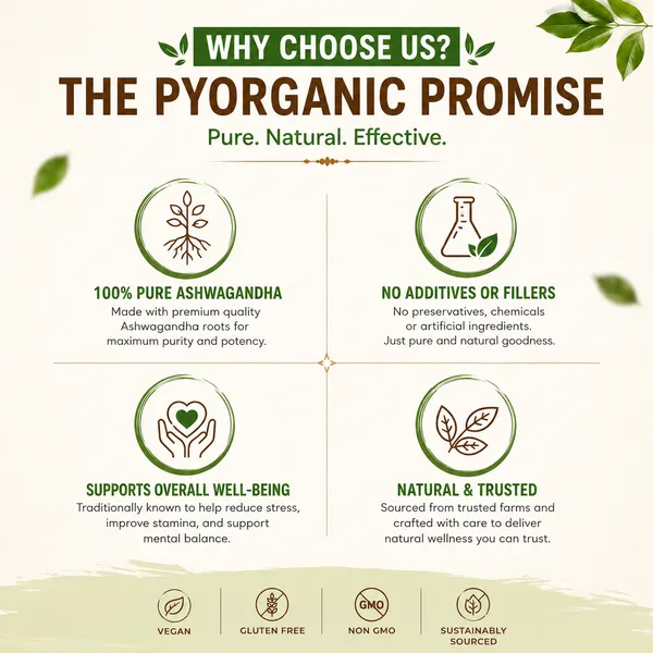 Premium_Ashwagandha_Powder_Pack_Of_1