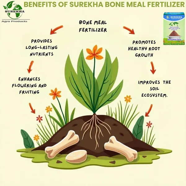 Bone_Meal_Fertilizer_2Kg