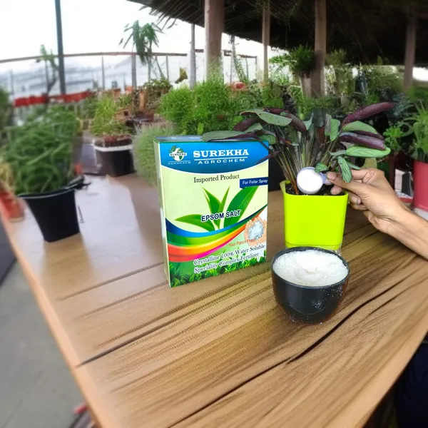 Epsom_Salt_Plant_Fertilizer_Pack_Of_4