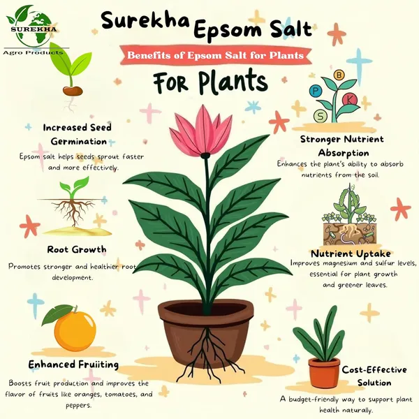 Epsom_Salt_Plant_Fertilizer_Pack_Of_4