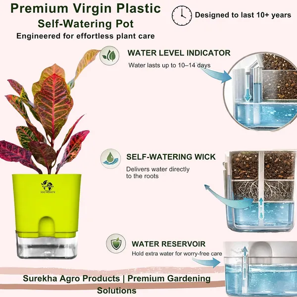 Croton_Petra_Plant_With_Self_Watering_Pot