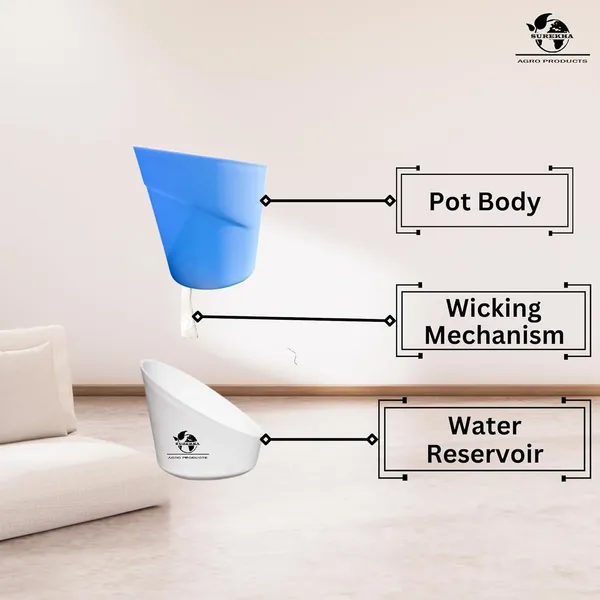 Yellow_Lucky_Bamboo_Plant_With_Self-Watering_Pot