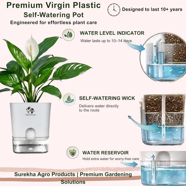 Peace_Lily_Plant_In_Self_Watering_Pot