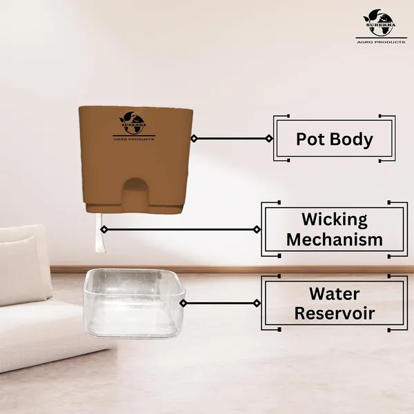 Croton_Live_Plant_In_Self_Watering_Pot