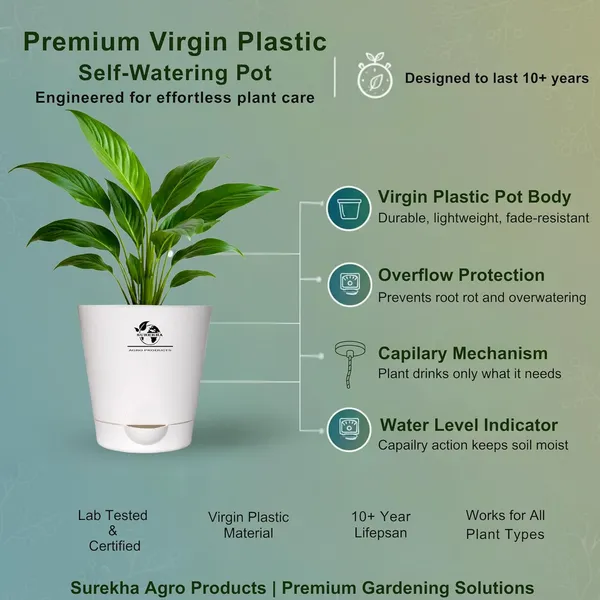 Peace_Lily_Plant_With_Self_Watering_Pot