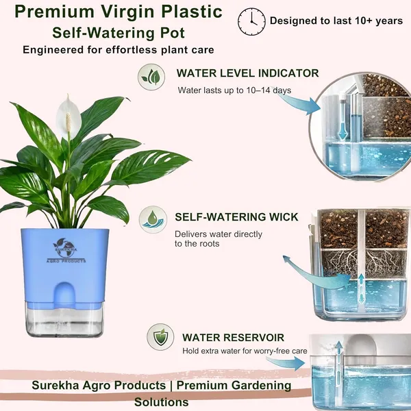 Peace_Lily_Plant_In_Self_Watering_Pot