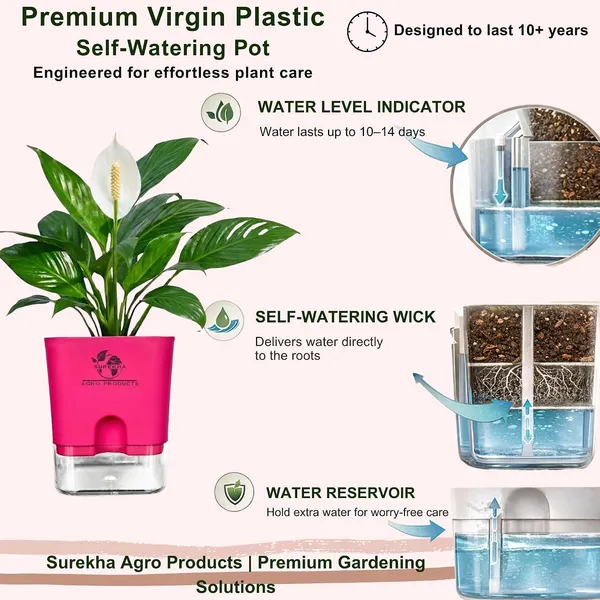 Peace_Lily_Plant_In_Self_Watering_Pot