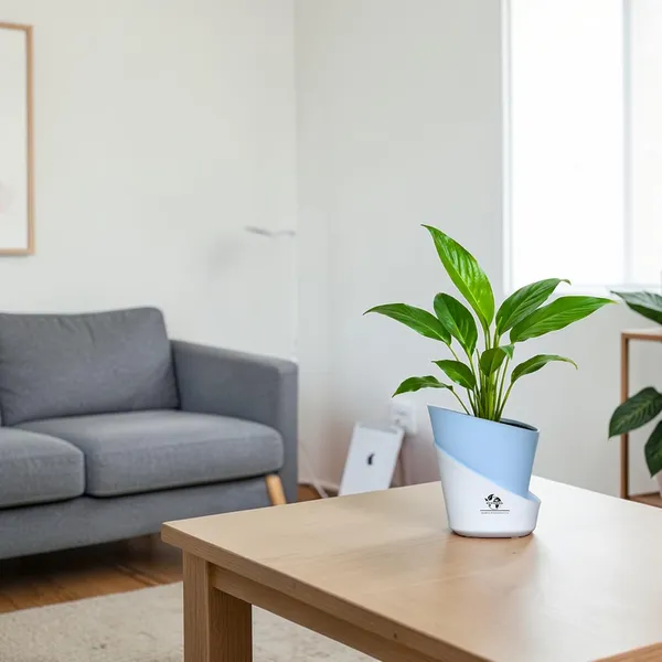 Peace_Lily_Plant_With_Self_Watering_Pot