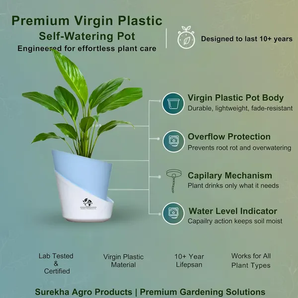 Peace_Lily_Plant_With_Self_Watering_Pot