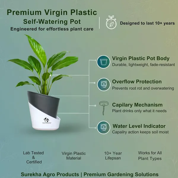 Peace_Lily_Live_Plant_With_Self_Watering_Pot