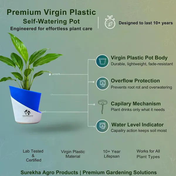 Peace_Lily_Plant_With_Self_Watering_Pot