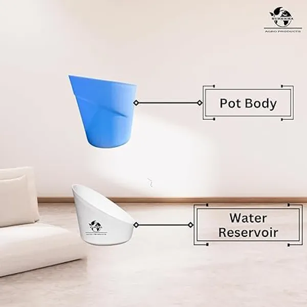 Money_Plant_N'Joy_In_Self_Watering_Pot