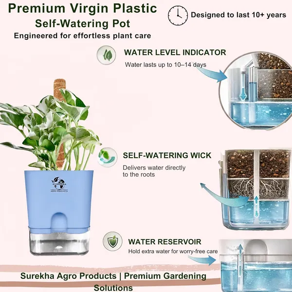 Money_Plant_N'Joy_In_Self_Watering_Pot